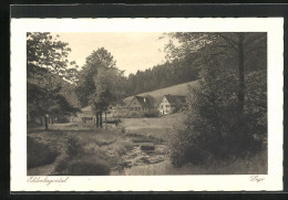 AK Freudenstadt, Häuser Im Ehlenbogental  - Freudenstadt