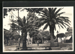 CPA Santa Fé, Boulevar Galvez  - Algiers