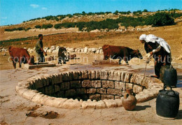 73267904 Jerusalem Yerushalayim Arab Woman Drawing Water From A Well  Jerusalem  - Israel