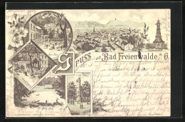 Lithographie Bad Freienwalde A. O., Gasthaus Zur Grünen Tanne, Kurpark, Bismarcks-Turm  - Bad Freienwalde