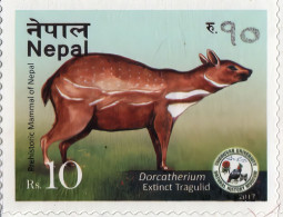 Extinct Tragulid Adhesive Postage Stamp 2017 Nepal MNH - Selvaggina