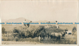 R024797 Old Postcard. Workers On The Fields. B. Hopkins - Monde