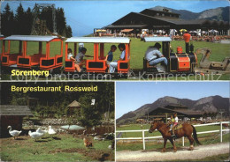 11695255 Soerenberg LU Bergrestaurant Rossweid Minibaehnle Gaense Reiten Soerenb - Autres & Non Classés