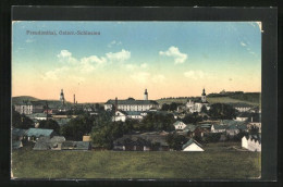 AK Freudenthal, Panorama  - Tschechische Republik