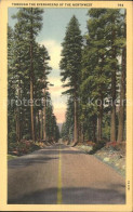 11688370 Oregon_US-State Through The Evergreens Of The Northwest - Altri & Non Classificati