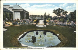 11688287 Rochester_New_York Lily Pond In George Eastman's Gardens - Andere & Zonder Classificatie