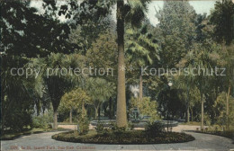 11688258 San_Jose_California St James Park - Altri & Non Classificati