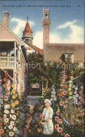 11688205 Provincetown Hollyhock Lane Flowers Cap Cod - Altri & Non Classificati