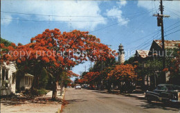 11688148 Key_West Royal Poinciana Trees Simonton Street Lighthouse - Andere & Zonder Classificatie