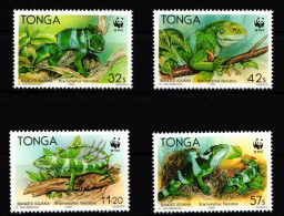 Tonga 1140-1143 Postfrisch Reptilien #IH447 - Tonga (1970-...)