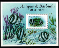 Barbuda Block 121 Postfrisch Fische #IH474 - Antigua And Barbuda (1981-...)