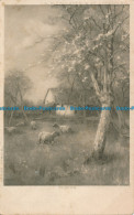 R024811 Spring. Faulkner. 1905 - Mondo