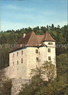 11686901 Valangin Le Chateau Valangin - Autres & Non Classés