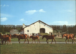 11686738 Franches Montagnes Pferdefarm  La Chaux-de-Fonds - Autres & Non Classés