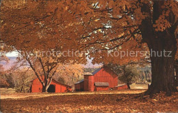11686485 Wurtsboro Farm  - Andere & Zonder Classificatie