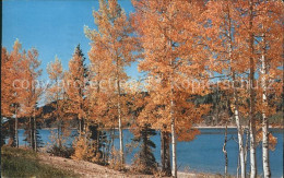 11686435 Branchville_New_Jersey Lake In Autumn - Otros & Sin Clasificación