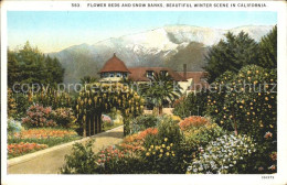 11686338 California_US-State Flower Beds And Snow Banks - Autres & Non Classés