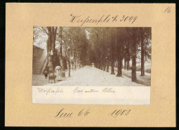 Fotografie Brück & Sohn Meissen, Ansicht Weissenfels, Blick In Die Bad-Allee  - Places