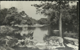 Le Vésinet - Lac De La Station - Flamme Secap "Le Vesinet Oasis De Verdure Et D'air Pur" 1965 - (P) - Le Vésinet