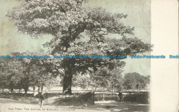 R026430 Oak Tree. The Centre Of England. Lillington. Dainty - Monde