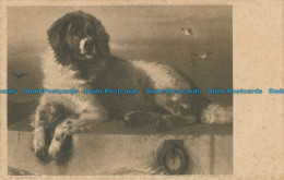 R026453 A Member Of The Royal Humane Society. Edwin Landseer. Hildesheimer - Monde