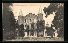 CPA Chatillon-s-Chalaronne, Chateau De Bissieux, Facade  - Châtillon-sur-Chalaronne