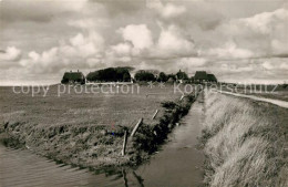 73318018 Hallig Hooge Panorama Hallig Hooge - Autres & Non Classés