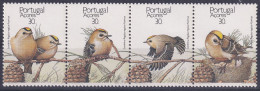 Portugal  Iles Adjacentes Açores Oiseaux Birds Neufs Sans Charnières ** - Azores