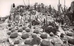 06-EZE VILLAGE-N°LP5121-C/0297 - Eze