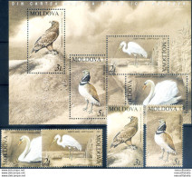 Fauna. Uccelli 2003. - Moldavie