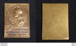 1859-1913 Francia Placca Johnson Medaglia Commemorativa BC - Sonstige & Ohne Zuordnung