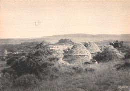 04-FORCALQUIER-N°C4113-C/0133 - Forcalquier