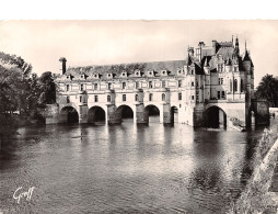 37-CHENONCEAUX LE CHATEAU-N°C4113-C/0055 - Chenonceaux