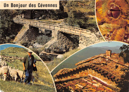 48-LES CEVENNES-N°C4113-B/0063 - Autres & Non Classés