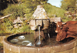 15-FONTAINE DE BREDONS-N°C4113-A/0083 - Sonstige & Ohne Zuordnung