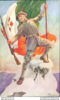 Af353 Cartolina Militare Ai Custodi Delle Alpi! - Reggimenti