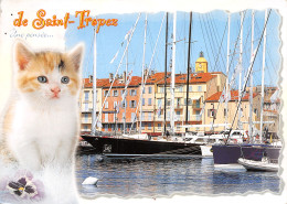 83-SAINT TROPEZ-N°C4113-D/0357 - Saint-Tropez