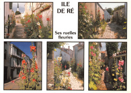 17-ILE DE RE-N°C4113-C/0349 - Ile De Ré