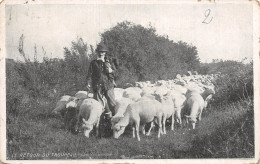 FO-FOLKLORE LE RETOUR DU TROUPEAU-N°LP5124-A/0189 - Autres & Non Classés