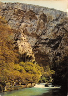 84-FONTAINE DE VAUCLUSE-N°C4115-A/0223 - Sonstige & Ohne Zuordnung