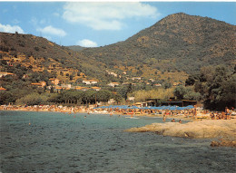 83-COTE D AZUR PLAGE A IDENTIFIER-N°C4116-A/0205 - Le Lavandou