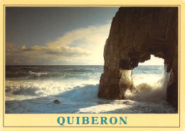 56-QUIBERON-N°C4116-D/0017 - Quiberon