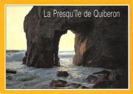 56-QUIBERON-N°C4116-C/0393 - Quiberon