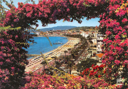 06-CANNES-N°C4116-C/0167 - Cannes