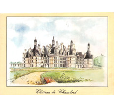 41-CHAMBORD LE CHATEAU-N°C4116-B/0289 - Chambord