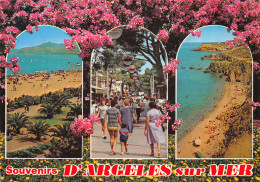 66-ARGELES SUR MER-N°C4116-B/0111 - Argeles Sur Mer