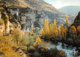 48-GORGES DU TARN CIRQUE DE POUGNADOIRES-N°C4116-A/0341 - Gorges Du Tarn