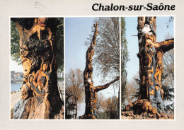 71-CHALON SUR SAONE-N°C4117-A/0267 - Chalon Sur Saone