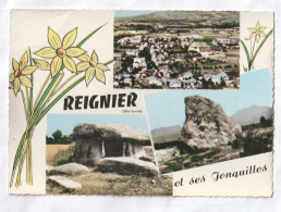 REIGNIER  ET SES JONQUILLES  EN HAUTE SAVOIE  CARTE MULTIVUES CARTE CIRCULEE - Andere & Zonder Classificatie