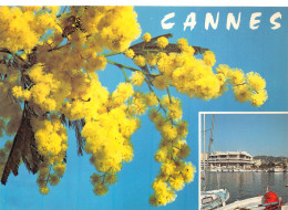06-CANNES-N°C4117-D/0055 - Cannes